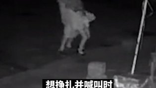 监控录下大学生性侵女子全程,震惊全网小妇人在线观看免费版电视剧
