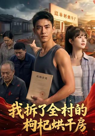 我拆了全村的枸杞烘干房高清播放