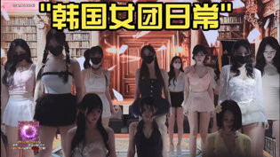 电影《荒岛美人》免费在线观看在线观看
