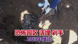 缅北园区真实现场：活埋剁手，人间炼狱2026必看十部电视剧在线观看