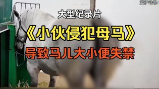 大型纪录片：小伙侵犯母马致其失控菠萝tv高清播放