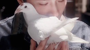 吴镇宇《精灵变》，限制级鬼片的绝美感情戏午马电影电视剧免费观看在线韩剧
