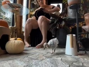 欧美妈妈日常暖心，国产战争片免费看姑娘免费观看在线高清电视剧韩剧高清播放