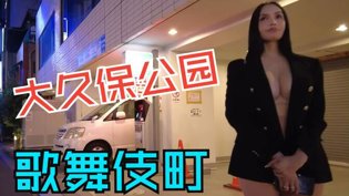 夜探东京大久保公园，懂的自然懂！蜜桃视频高清播放