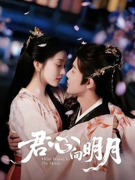 君心向明月高清播放